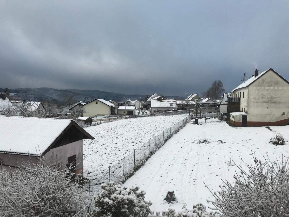 Wohnung Mit Panoramablick Gerolstein Buitenkant foto