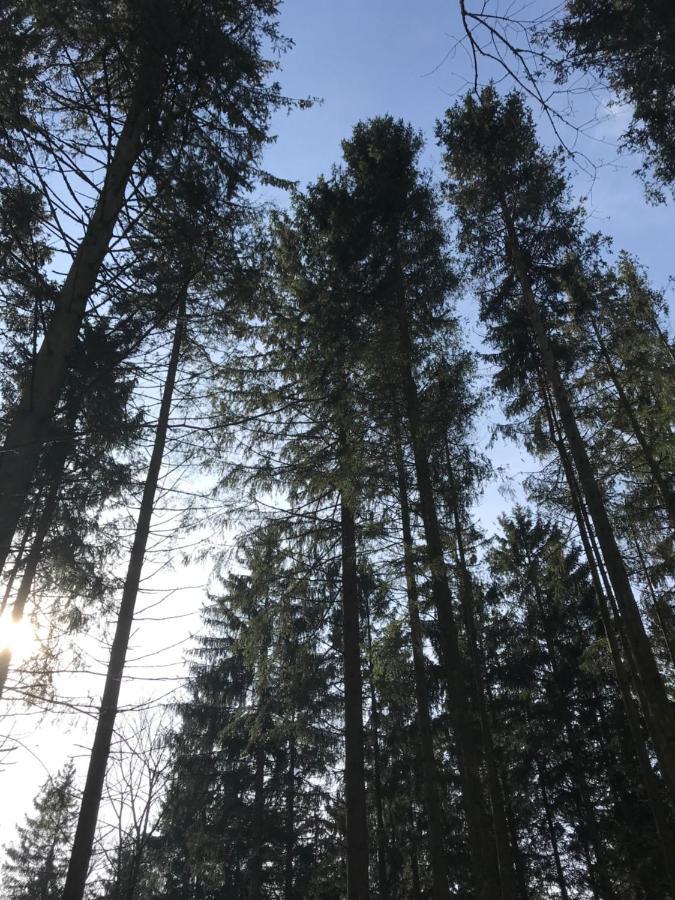 Wohnung Mit Panoramablick Gerolstein Buitenkant foto